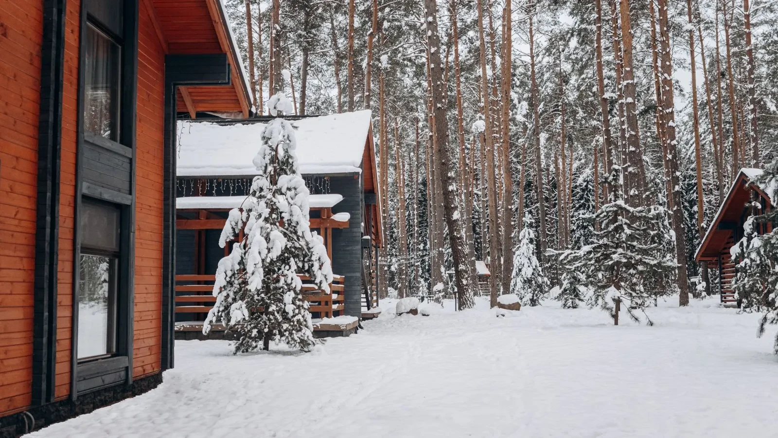 Project Viken, photo 2