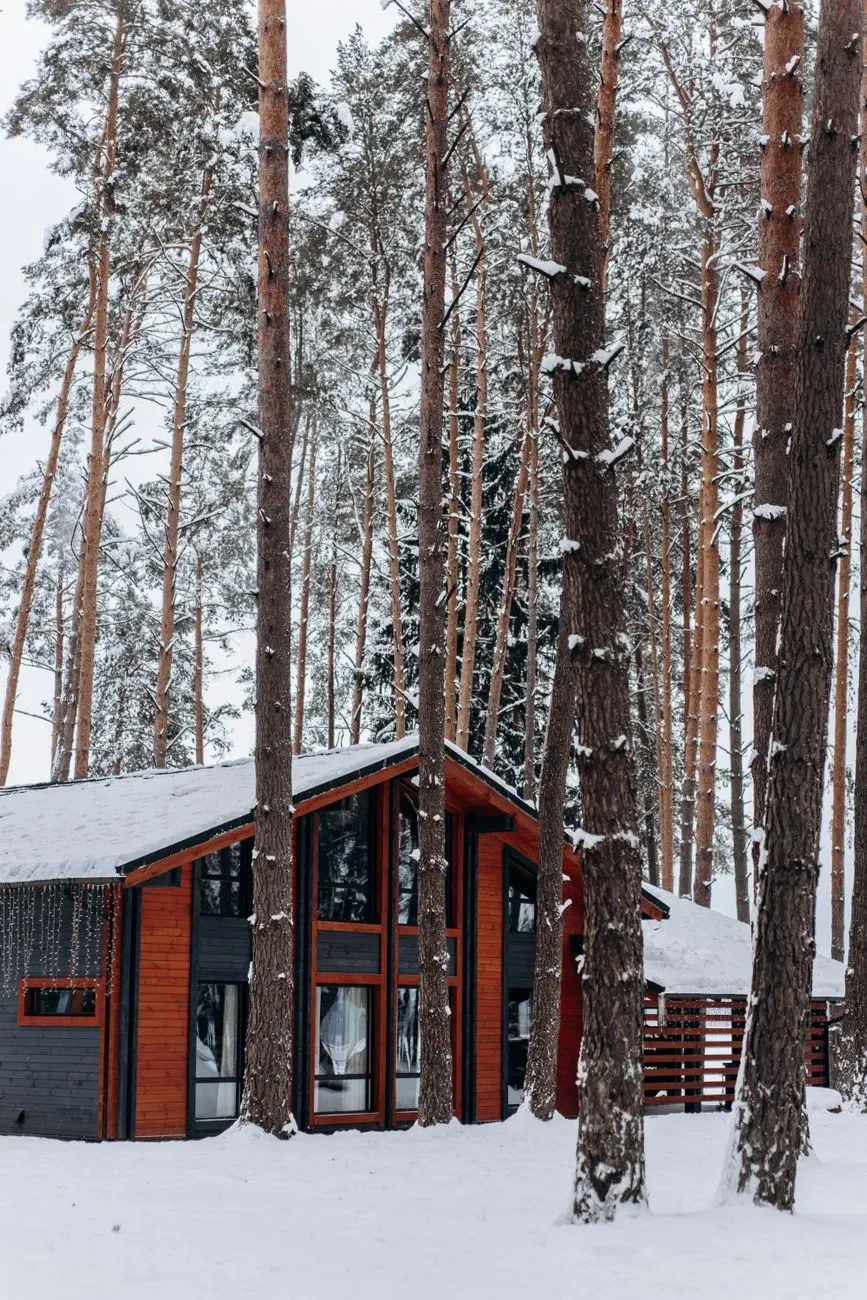 Project Viken, photo 4